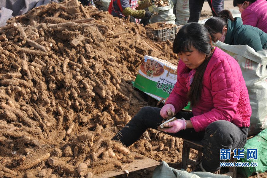 ����:ɽˎ�S�ռ� �������æ