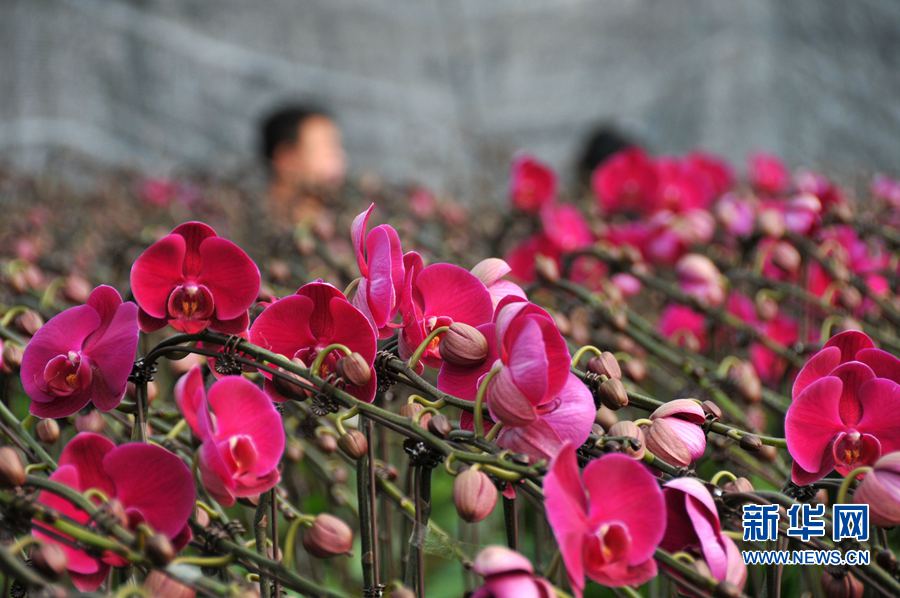 �xُ�r��ӭ����