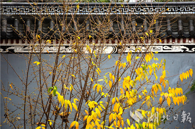 12��26�գ��ں������w��ԭ���ﾰ�^��ԭ����Ĕz��Ϟ÷��