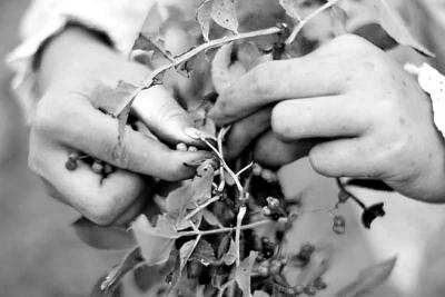 ������Ů�����Ą�־����߼t�W�j