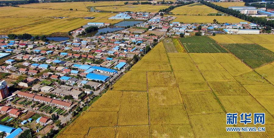 ���������1����S�ա��������h������æ