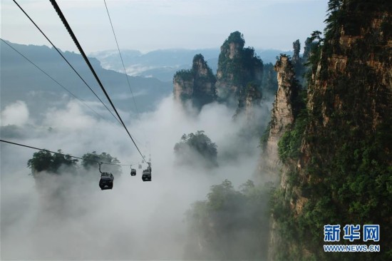 �������g���ҽ�