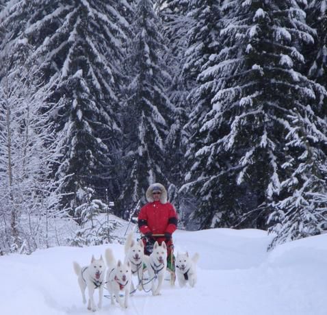 7���ط������w�(y��n)�����ı�ѩ�澉