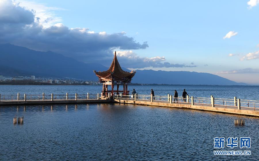 �����B(t��i)����3�����ϴ��팢Ͷ�Y264�|Ԫ���o(h��)����