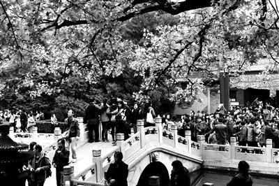 �c(di��n)���M(j��n)����һ�(y��)