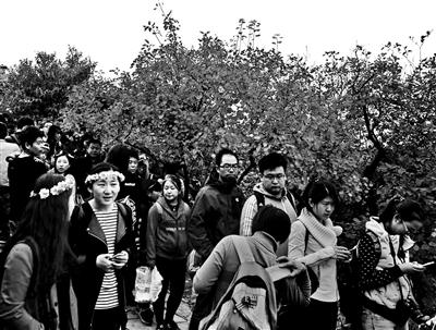 �c(di��n)���M(j��n)����һ�(y��)