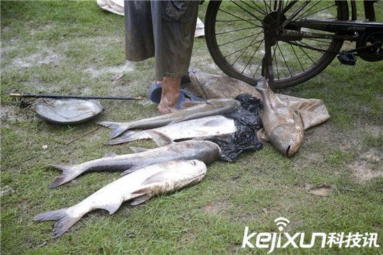 ��h����_�����~ �����Ԏ��O�W���ֲ��~