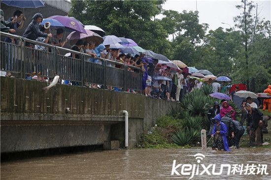 ��h����_�����~ �����Ԏ��O�W���ֲ��~