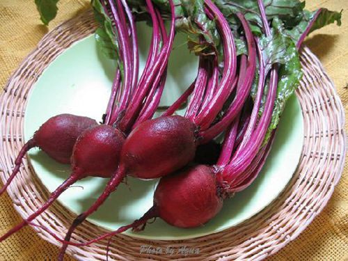 �X�׽������ˣ�����@15�N��Ȼʳ������a�X��