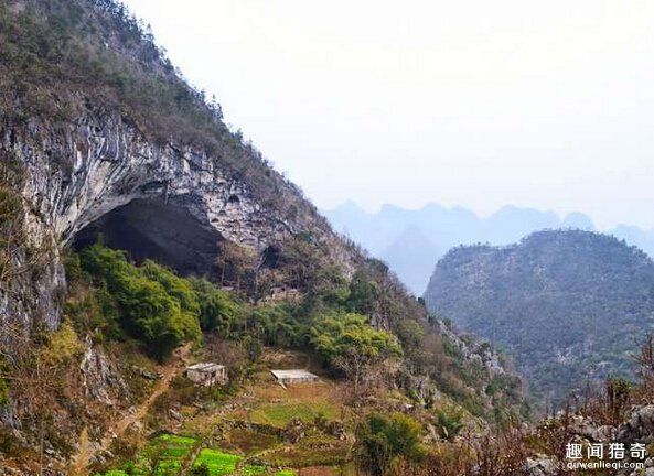 �Ї��@�F�������һ��Ѩ�Ӳ��䣬����ֻʣ20���˼ң�