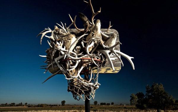 <a target='_blank' class='keywordsSearch'><p align=