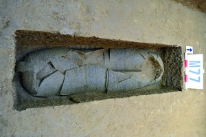 �������п��Űl�F���������z��h���ų�¶����