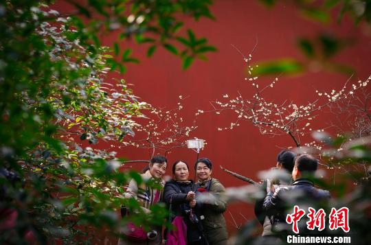 �Ͼ��ɽ���^(q��)���p÷���G��ϲӭ�r(n��ng)�v���꣨�M�D��