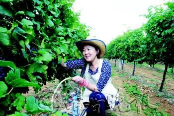 ��ժ�@���x�߸��ܵ��˲�ժ�Ę�Ȥ��