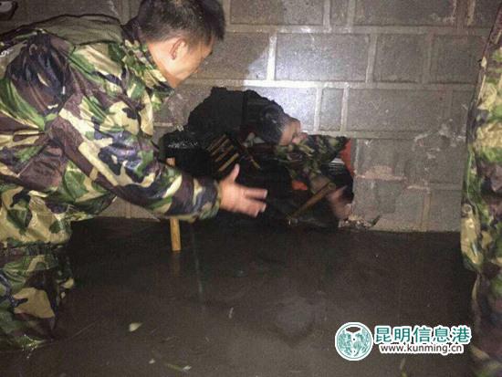 �����ٱ��o���ŝ� �����������D