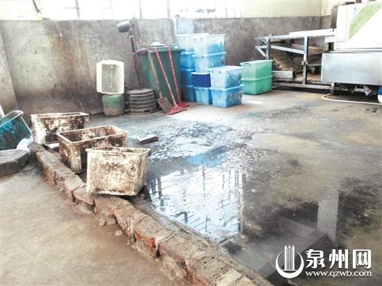 福建泉州多家餐具消毒廠環境堪憂 地板污水橫流