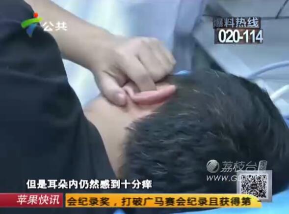驚恐!男子耳內(nèi)長(zhǎng)滿白色爬蟲,撕咬耳道痛不欲生!