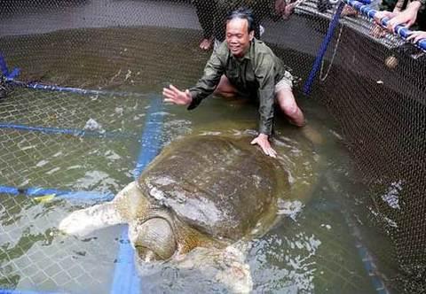 Խ��340��������M������ �e��(gu��)����(d��ng)(�D)