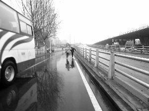 黃牛逃跑被抓住