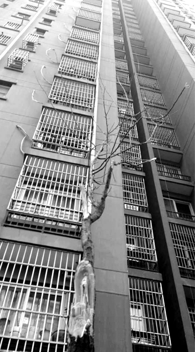 СŮ���Ę��ϵ��r(sh��)�ě_��������֦���Ҕ��ˡ�