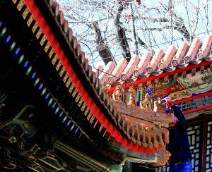 ����������l(f��)�F(xi��n)���U�͈@���Ƶ��������ݼ�߅��̎һ���T�P���ˡ�ȱʧ���˵ؾo����ɽ�������ο����ֿ��|�����ɘ�(g��u)�����I��ӛ������̽�L�������й����ˆT�ڬF(xi��n)���ޏ�(f��)���U�͈@����̎�Q��ȱʧ������(g��u)�����(f��)�Ƙ�(g��u)�����������L(f��ng)�����g�������L(f��ng)���䣬���ο͓�ʰ��ԭ����Ȼ���������췿��