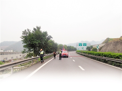 駿馬上高速路奔跑逾1小時(shí)