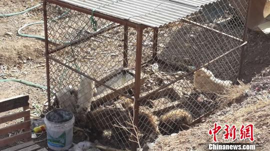 �D�鱱�����ᜫ�ӿڴ��������ץ�صĲ��ַ�������Ǻ��� �z