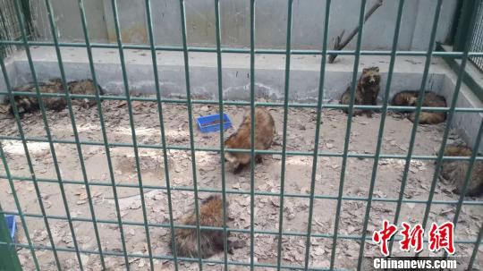 ������������{�������¼��M�����ҵ�������380ֻ