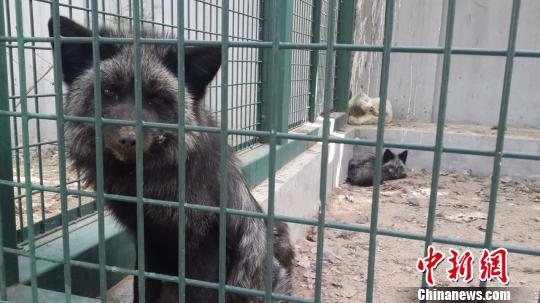 �������������؂�¼��M�����ҵ� ������380ֻ