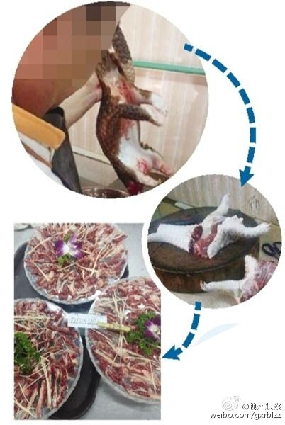 �F���ך���ɽ��