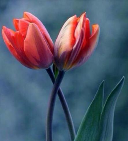 �DƬĬ�J���}