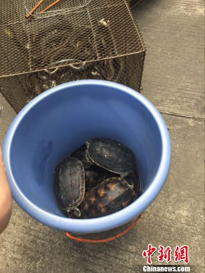 4��20�գ��������֘I�ֽM��ɭ�ֹ����Ȉ̷��ˆT��ͻ�u���r�w�ɼҲ��^����@Ұ������һ�������ܞt�� �z