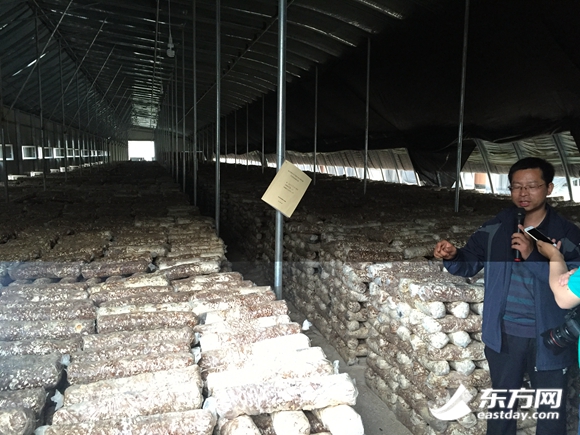 �񄞳���Ƙs���D�Ӵ������s���ľW�jý�w