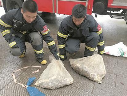 ����ʮ�l��ͻ�F��h���^�������� ����������