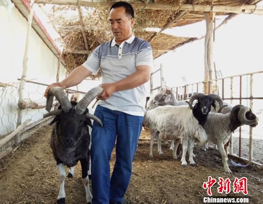 �½����ȿhһ�B(y��ng)ֳ�@�F(xi��n)��ֻ�ĽǾd���������^���D��