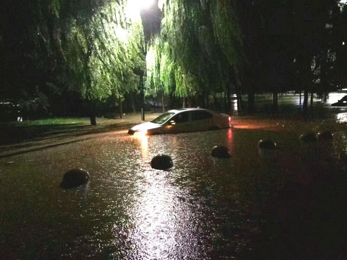 �����������