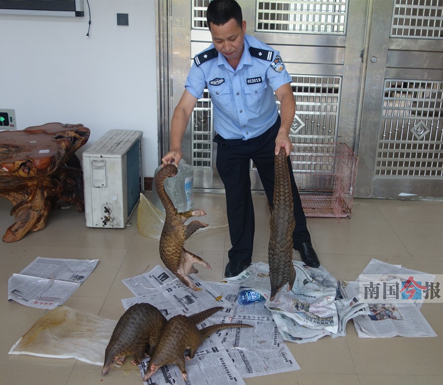 ���r���T��[����ͨ���r �l���g��������ֻ��ɽ��