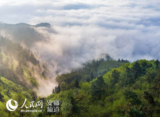 ���·��������`������ƪ�����ǣ����Gɫ���桱����lչ����