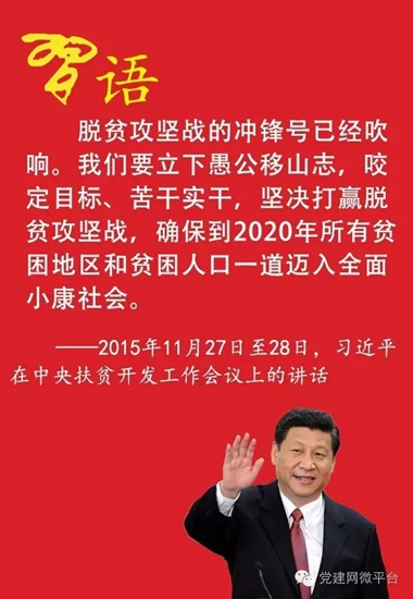 ����ƽ����һȺ��