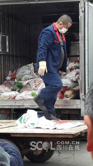 眉山市東坡區(qū)修文鎮(zhèn)發(fā)生狂犬疫情。