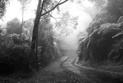 男子陪妻戰(zhàn)勝癌癥病魔 被妻罵