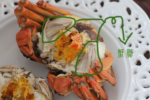 蟹腮1.jpg