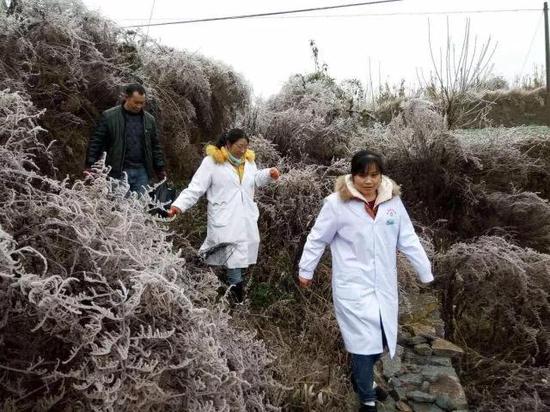 顧不上疼痛的她