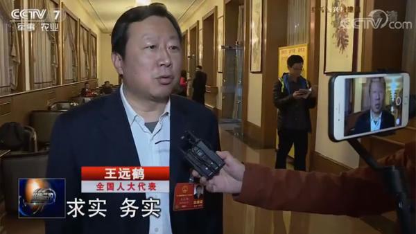 全國人大代表 王遠鶴