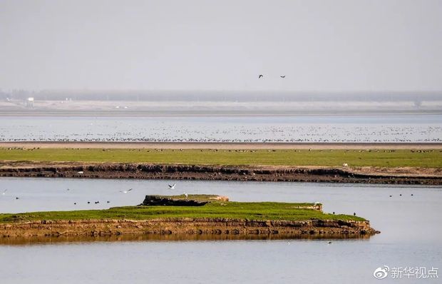 習(xí)近平的長(zhǎng)江情懷