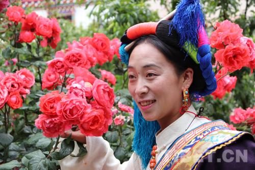 �D�鴩���{�����Ĺ���׿����ķ���zӰ������