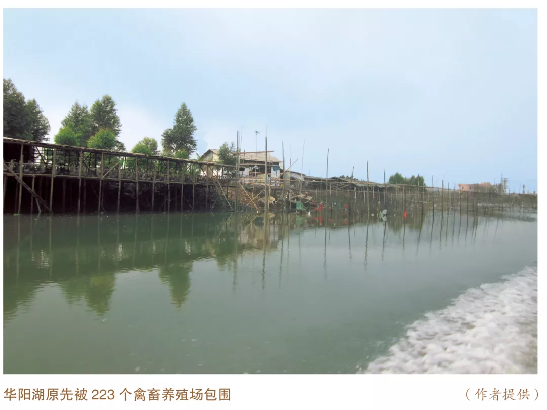 �����Ї����h��5�����V�|�|ݸ���Aꖺ��h(hu��n)���C�������Ƅ�(d��ng)���|(zh��)���l(f��)չ