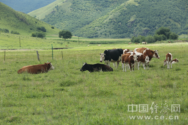 ���Ҹ����_��߅��������������¸��� �L�Ͳ�ԭ������ɫ