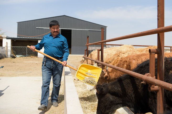 ���Aȫý+���������ٿ��Ї�����ɳ��·���~�� ���մ�Įͨ�ĺ�