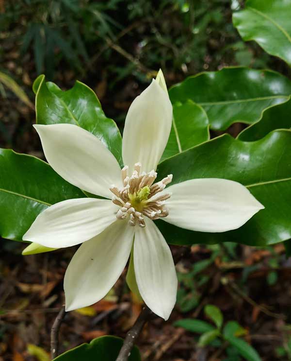 �L��ľ�m��